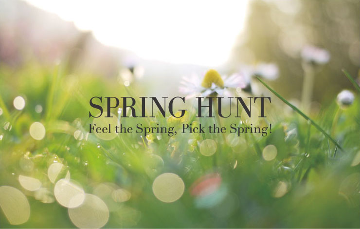 春のコーディネートSPRING HUNT1