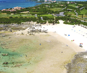 沖縄・宮古島「シギラリゾート」が「さかなクン」と学ぶ夏休みイベント開催3