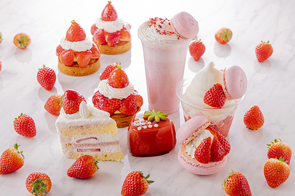 ＜ベルグの4月＞南町田グランベリーパーク店オープン1
